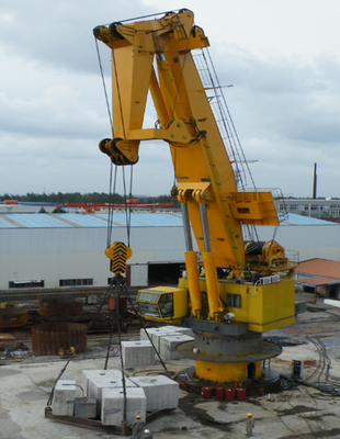 Junta hidráulica Jib Crane Mounted On Offshore Platform de 250 quilowatts